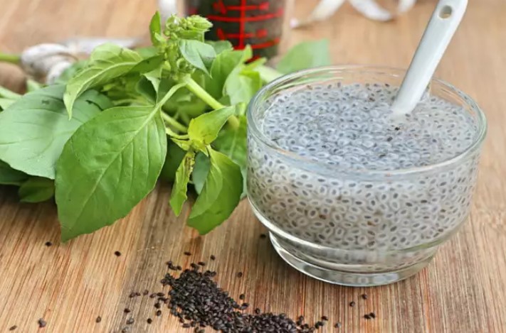 Basil Seeds Thrilling Benefits and Uses