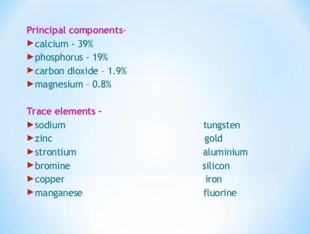 Calculus Bridge's Chemical Composition