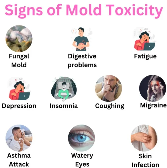 10 Warning Signs of Mold Toxicity Healthfyy